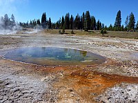 Yellowstone West Thumb Area (39).JPG